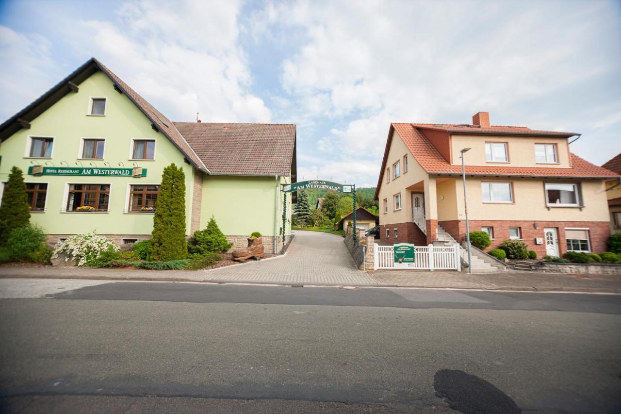 Ferienhaus Og1 "Westerwald Blick" Martinfeld Eksteriør bilde